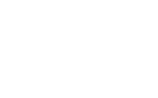 VfB Bildung