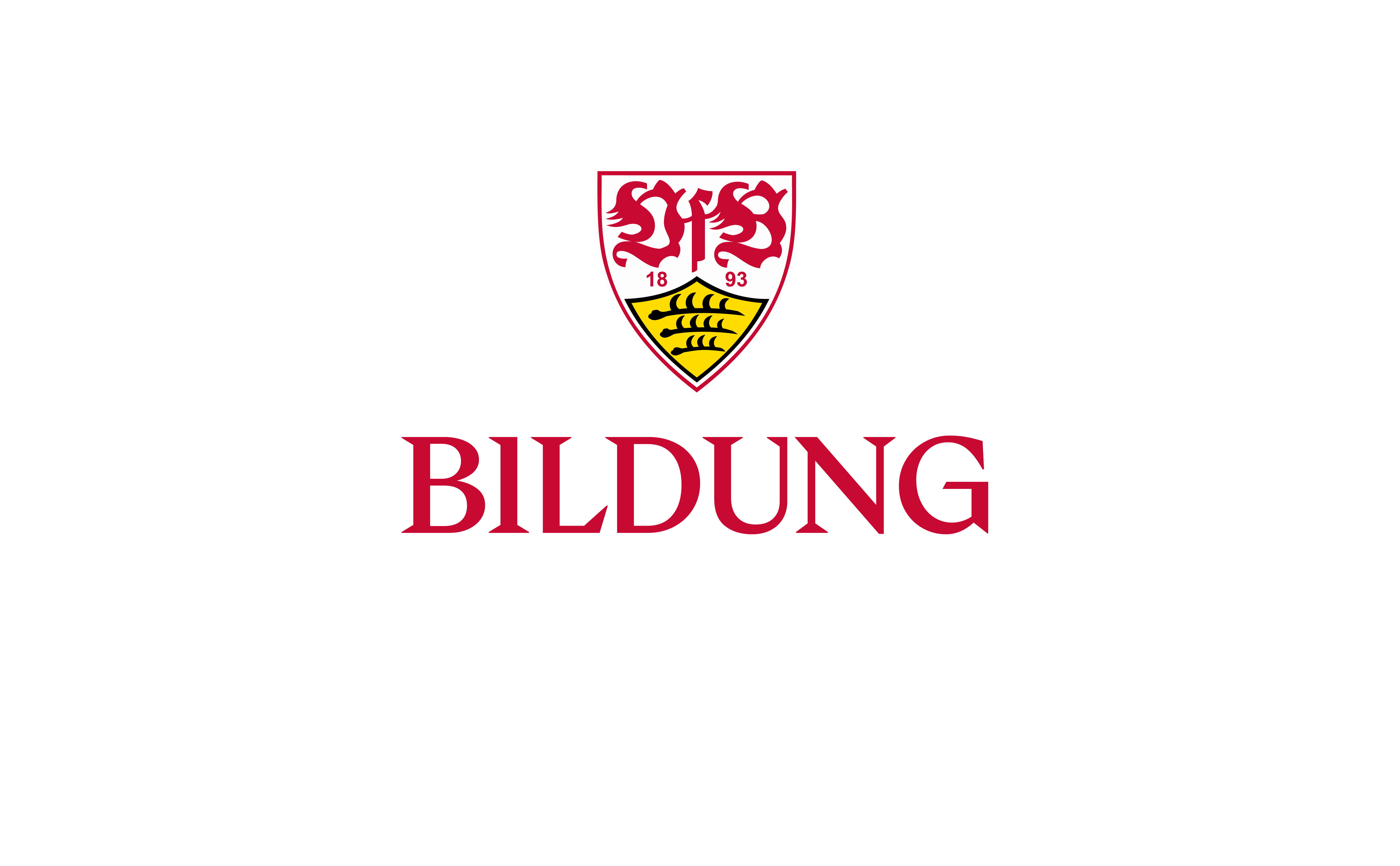 VfB Bildung Logo